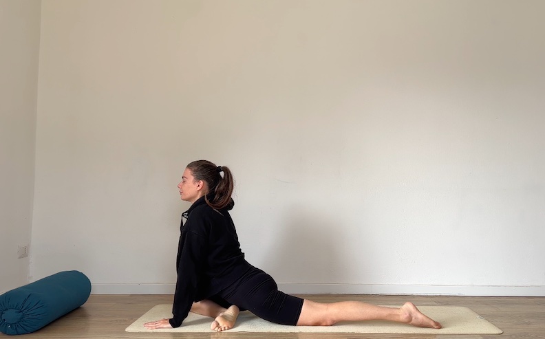 posizione del piccione